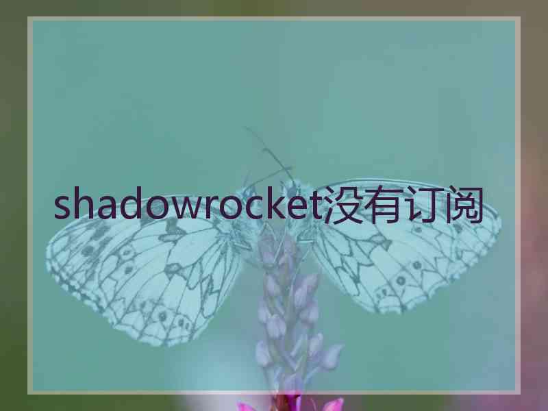 shadowrocket没有订阅