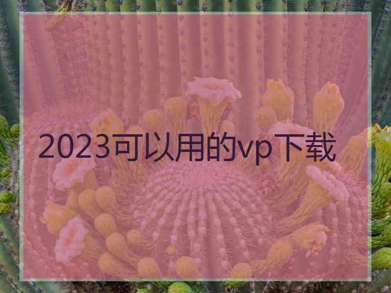 2023可以用的vp下载