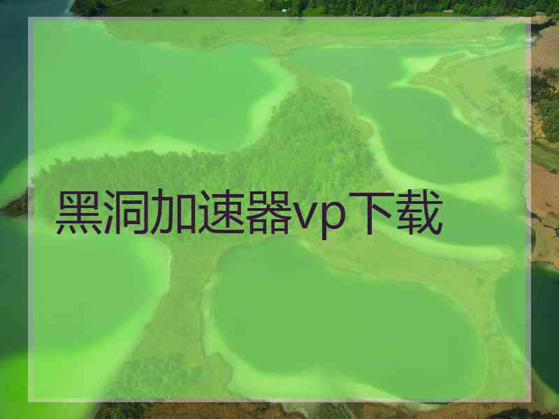 黑洞加速器vp下载