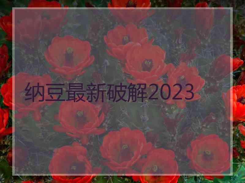 纳豆最新破解2023