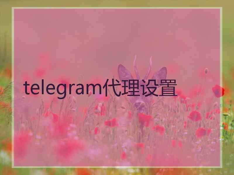 telegram代理设置