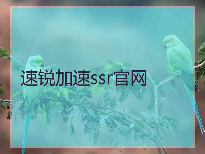 速锐加速ssr官网