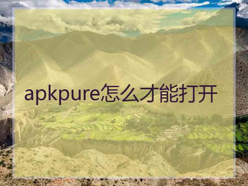 apkpure怎么才能打开