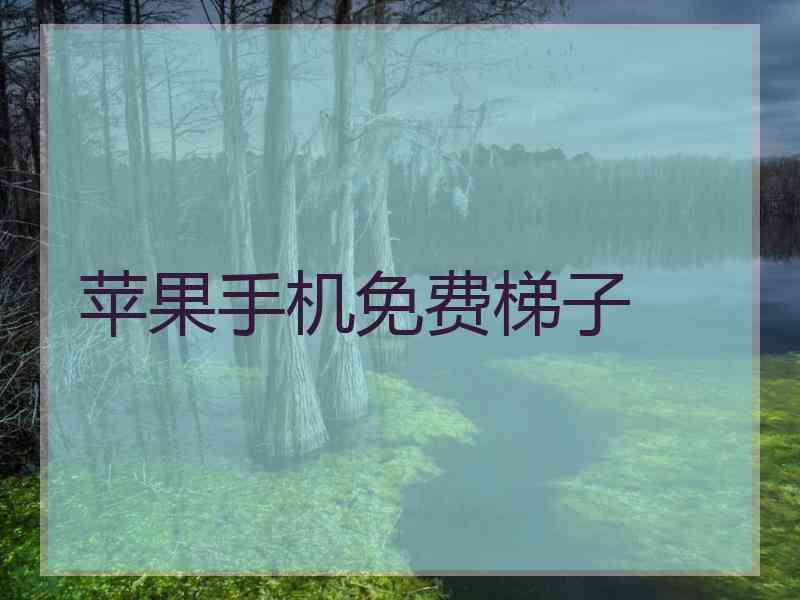 苹果手机免费梯子