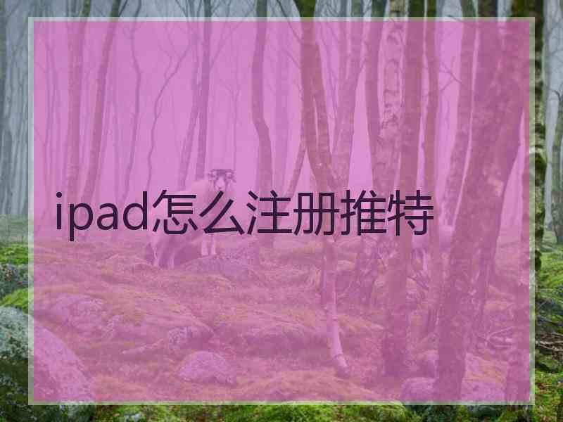 ipad怎么注册推特