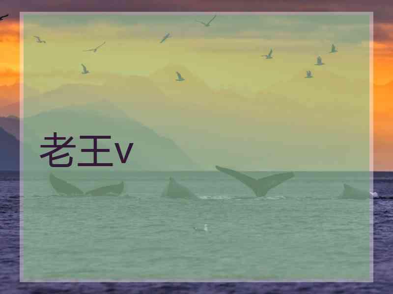 老王v