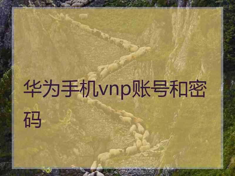 华为手机vnp账号和密码