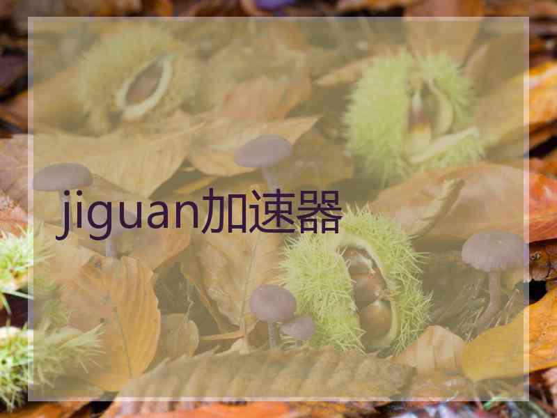 jiguan加速器