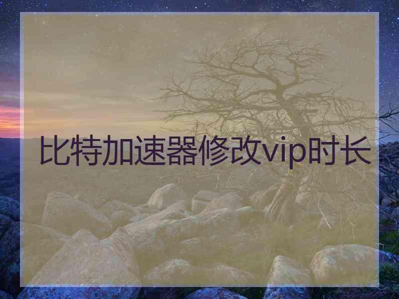 比特加速器修改vip时长