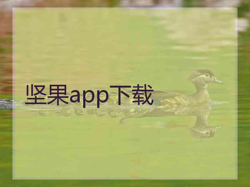 坚果app下载