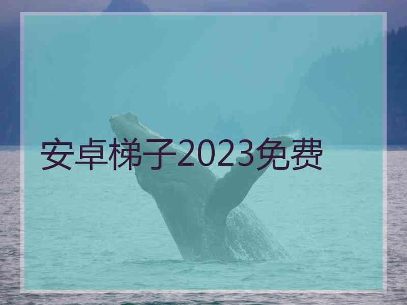 安卓梯子2023免费