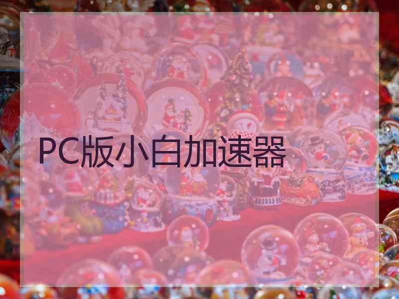 PC版小白加速器