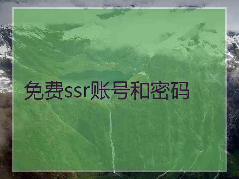 免费ssr账号和密码