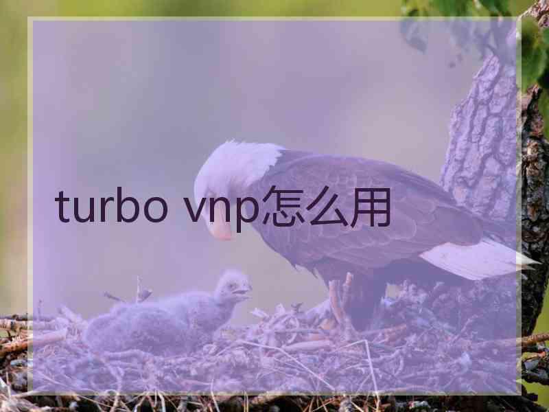 turbo vnp怎么用