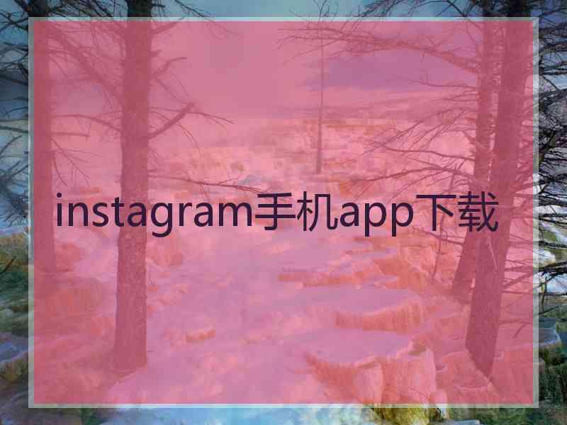 instagram手机app下载