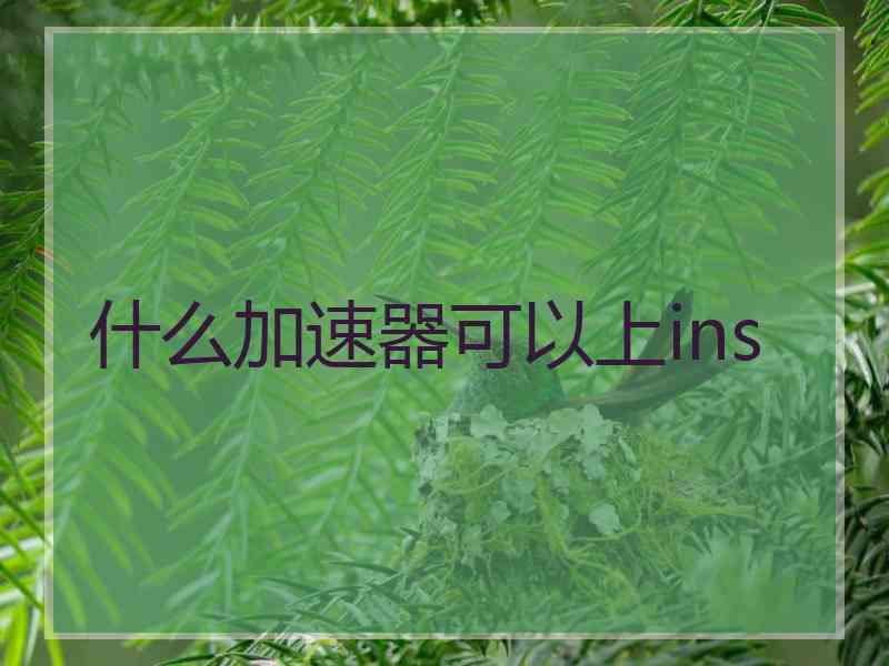 什么加速器可以上ins